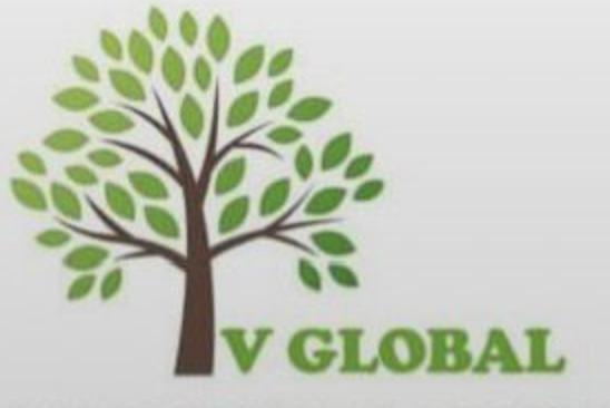 V Global